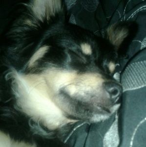 Meet your Posher, Brianna